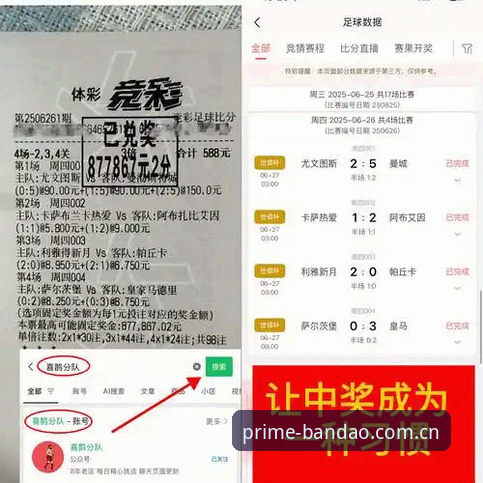 半岛体育电脑版官方下载 半岛体育平台电脑版官方下载完整指南:从安装到赛事数据查询的进阶攻略